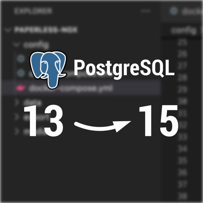 Datenbank von paperless-ngx - So gelingt das Update (z.B. Postgres 13 zu Postgres 17)